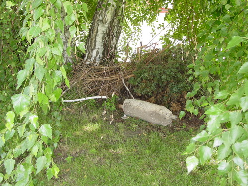 ./Gallery/2011 Bennet Lot Tree Removal/DSC06431.JPG